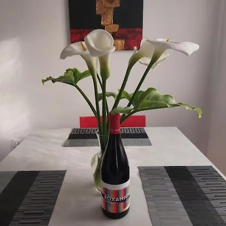 Daire My Place - 1 Minuto Dal Mare *